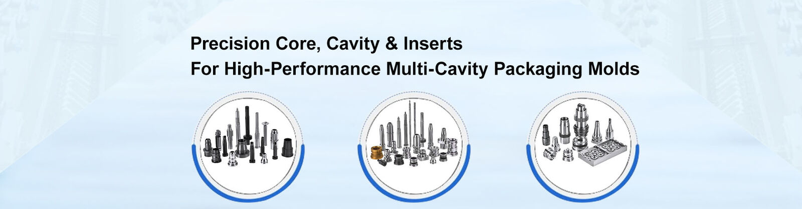 Präzisions-Form-Komponenten