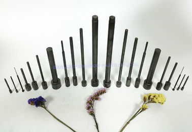 Nitrided 1,2344 Kern Pin-Spritzen-Teile/Aluminium Druckguss-Autoteile